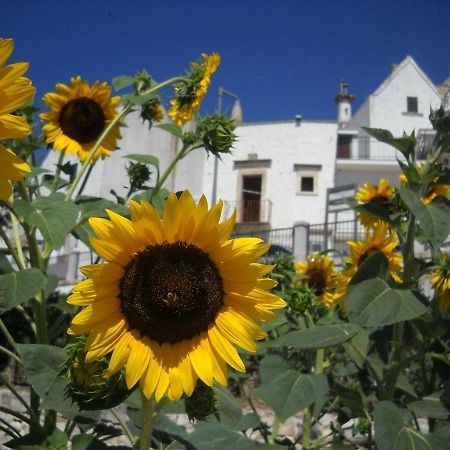 Cuore Dei Venti Μαρτίνα Φράνκα Εξωτερικό φωτογραφία